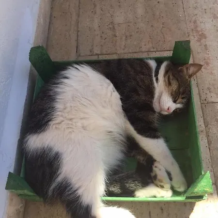 Kas Hotel * Kaş